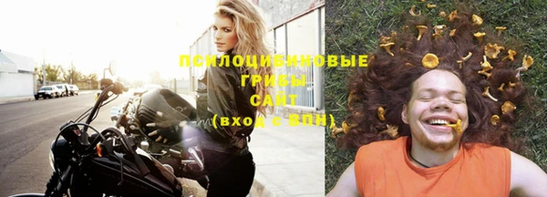 мдпв Нея